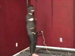 wrapped in cellophane and walked over